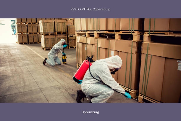 PEST CONTROL Ogdensburg